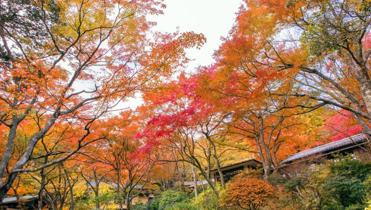 Gora Kansuiro Hakone Kültér fotó